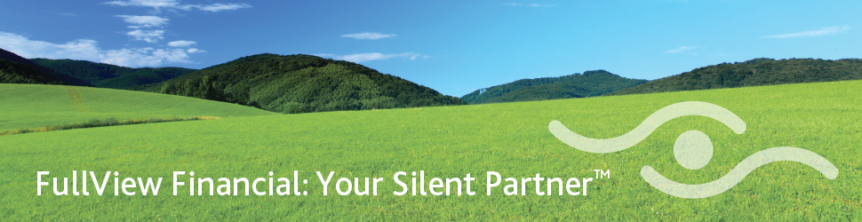 FullView Financial: Your Silent Partner™